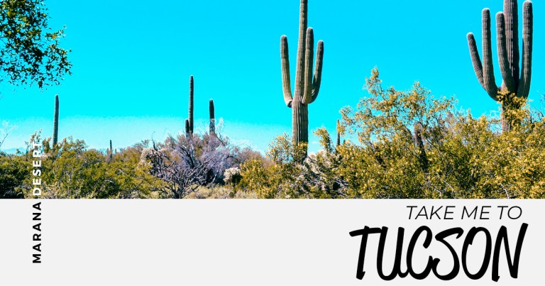 take me to tucson