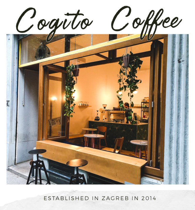 cogito coffee blog